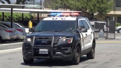 police car Meme Template