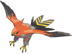 Talonflame Meme Template