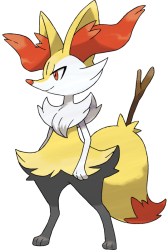 Braixen Meme Template