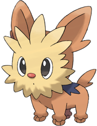 Lillipup Meme Template