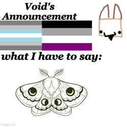 Void Announcement temp Meme Template