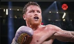 Canelo Alvarez Meme Template