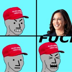 MAGA NPC MELTDOWN Meme Template