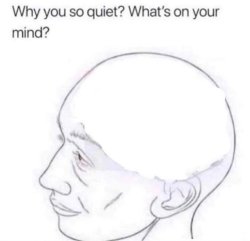 Why are you quiet? Meme Template