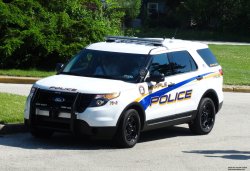 police car Meme Template