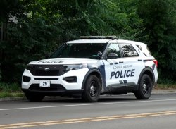 police car Meme Template