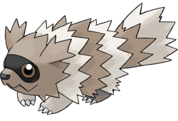 Zigzagoon Meme Template