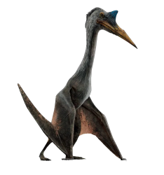 Quetzalcoatlus Meme Template