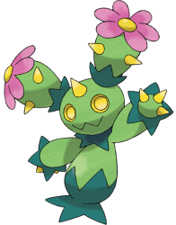 Maractus Meme Template