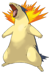 Typhlosion Meme Template