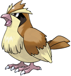 Pidgey Meme Template