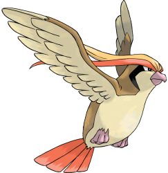 Pidgeot Meme Template