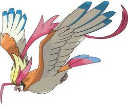 Mega Pidgeot Meme Template