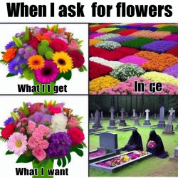 Meme with top caption "when i ask for flowers" and 2 section bel Meme Template