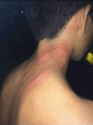 Cuenta la leyenda que esto sucedía cuando levantaba la voz a tus Meme Template