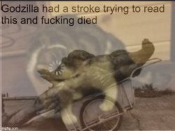 Godzilla had a stroke and loading cat Meme Template