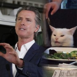 Newsom and Smudge Meme Template