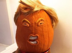 Trumpkin Meme Template