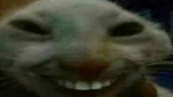 Creepy Cat Meme Template