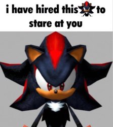 i have hired this shadow to stare at you Meme Template