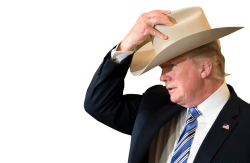 TRUMP - THE LAW RETURNS Meme Template