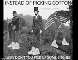 Instead of picking cotton why don't you pick up some bitches Meme Template