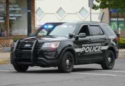 police car Meme Template