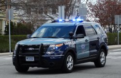 police car Meme Template