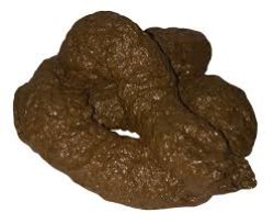 poo Meme Template