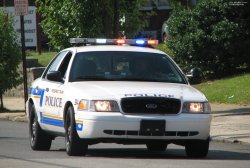 police car Meme Template