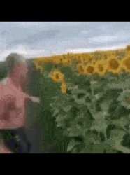 man punching sunflower Meme Template