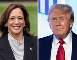 Kamala Harris and Donald Trump Meme Template