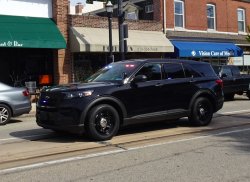 police car Meme Template
