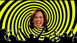 KAMALA - EMPTY MINDS Meme Template