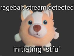 ragebait stream detected Meme Template