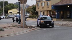 police car Meme Template