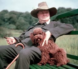 Churchill with Dog Meme Template