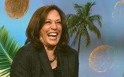 Kamala Coconut Tree Meme Template