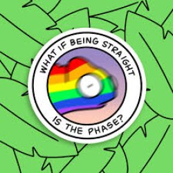 What if being straight is the phase Meme Template