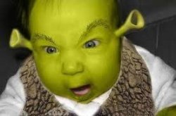 Baby asshrek Meme Template