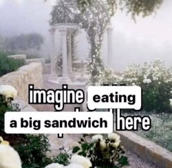 imagine eating a big sandwich here Meme Template