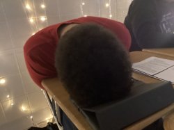 Jamieson Brown sleepy Meme Template