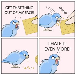 Bird Cracker Reverse Meme Template