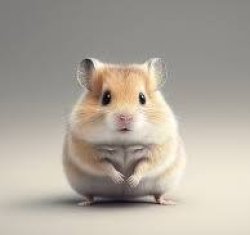 Hamster Meme Template