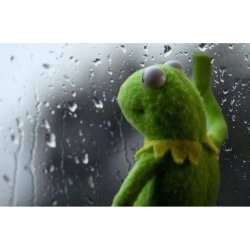 Random Thoughts ($RT) Meme Template