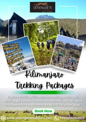 Kilimanjaro Trekking Packages Meme Template