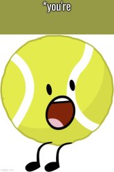 Tennis Ball *you're Meme Template