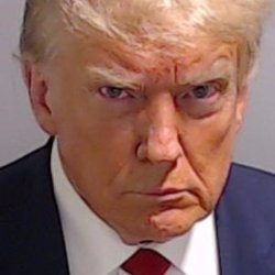 Trump mug shot Meme Template