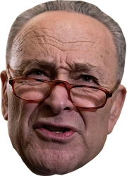 CHUCK SCHUMER - HEAD Meme Template