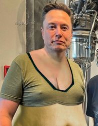 elon musk Meme Template